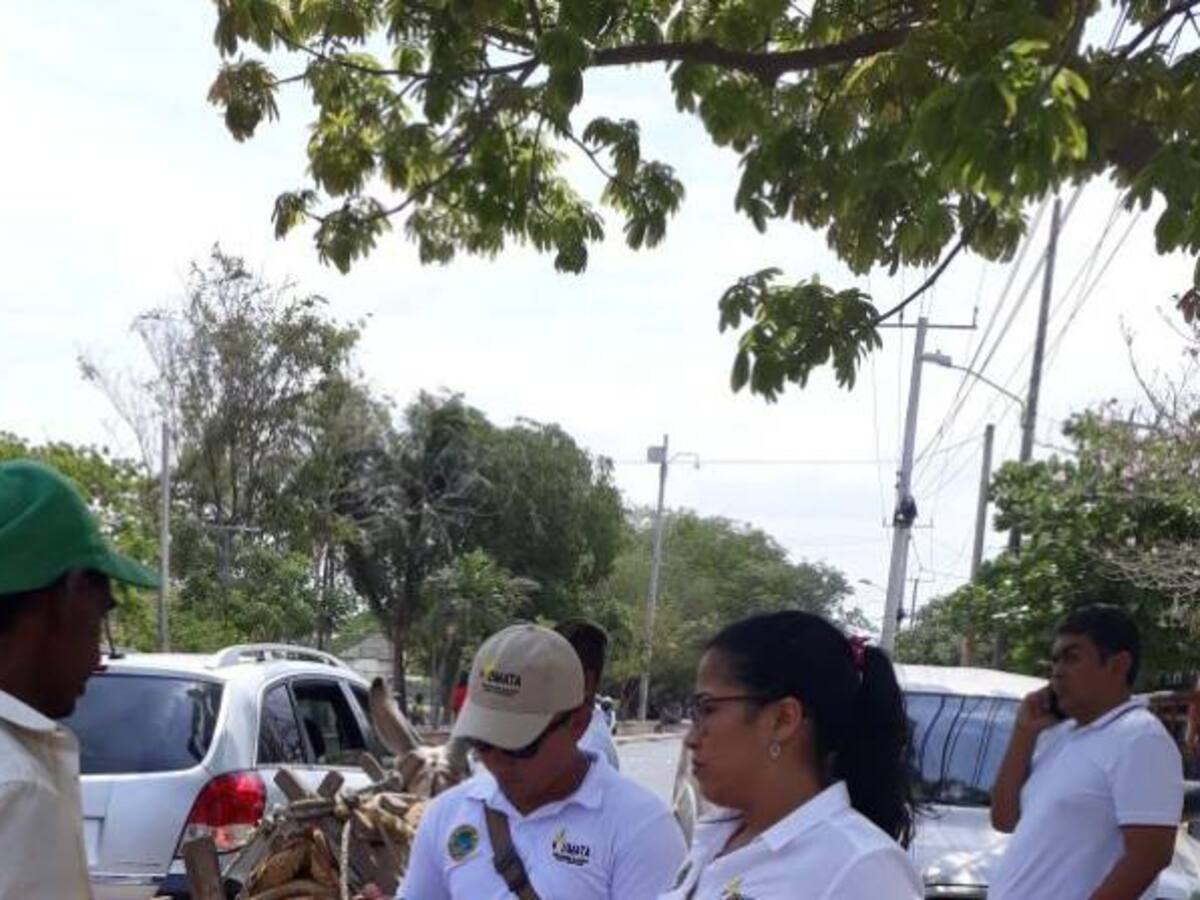 Umata adelanta jornada sobre protección y bienestar animal en Cartagena
