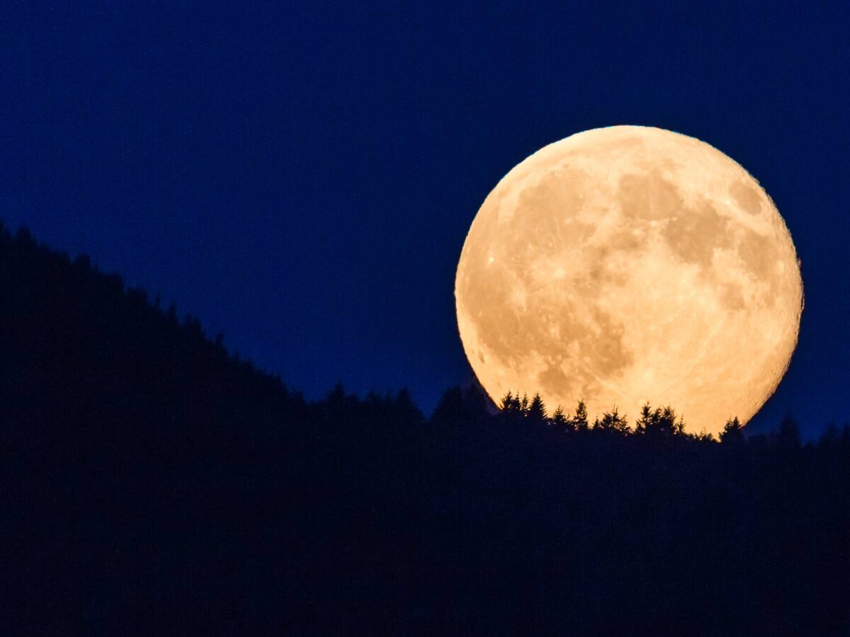 Superluna del Cazador será la más grande del año ¿Cuándo y a qué hora se verá en Colombia?