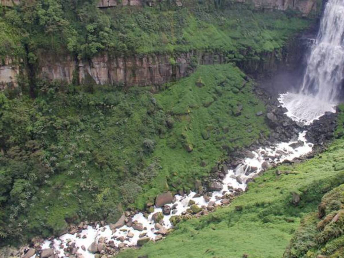 Colombia, entre los países más peligrosos para los ambientalistas