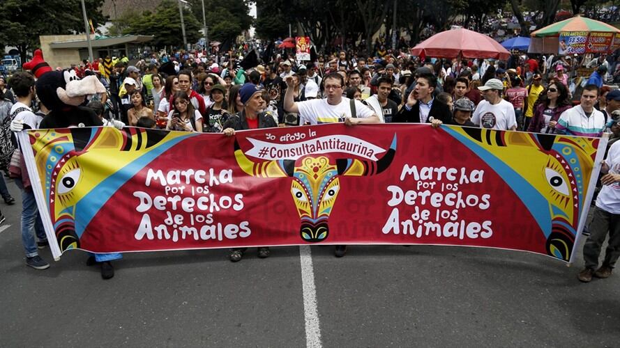 Miles de personas con sus mascotas marcharon en contra del maltrato animal. Foto: Colprensa