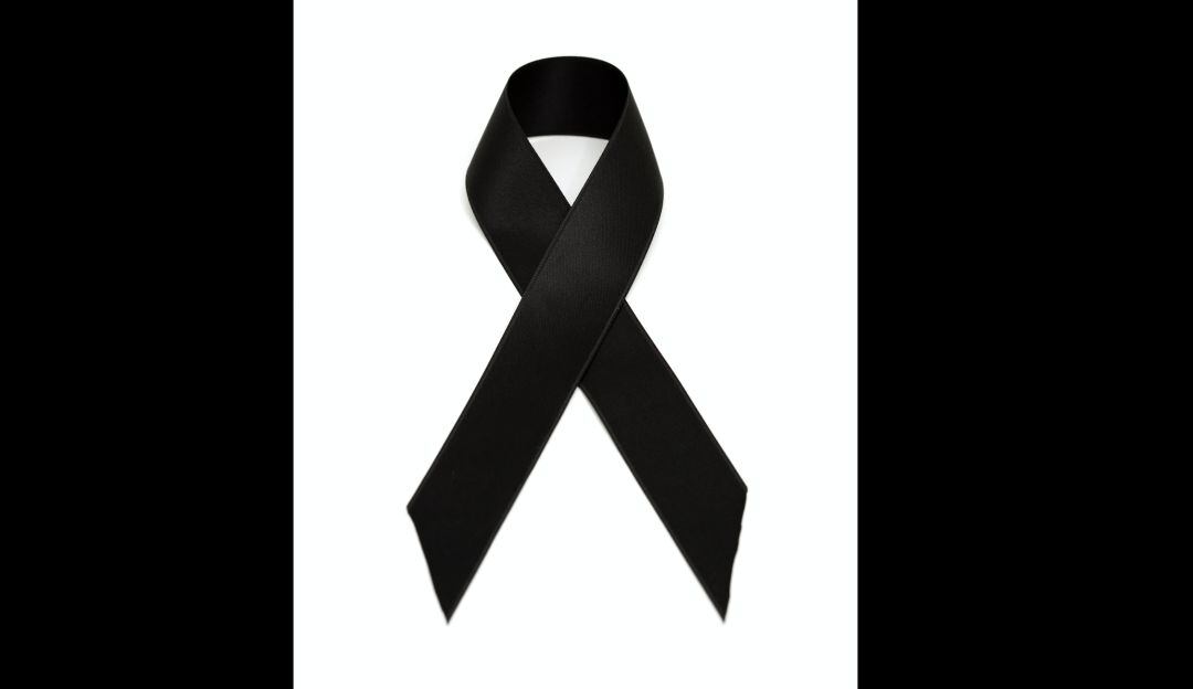 Imagen de referencia