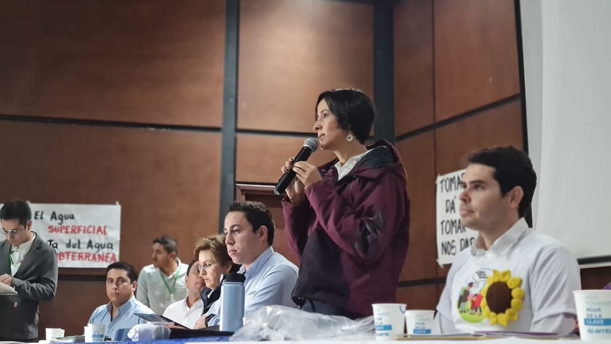 Ministra de Ambiente advierte que hay mafias en la minería