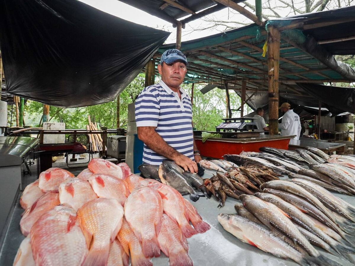 Operativos en supermercados, tiendas y ventas de pescado en Neiva
