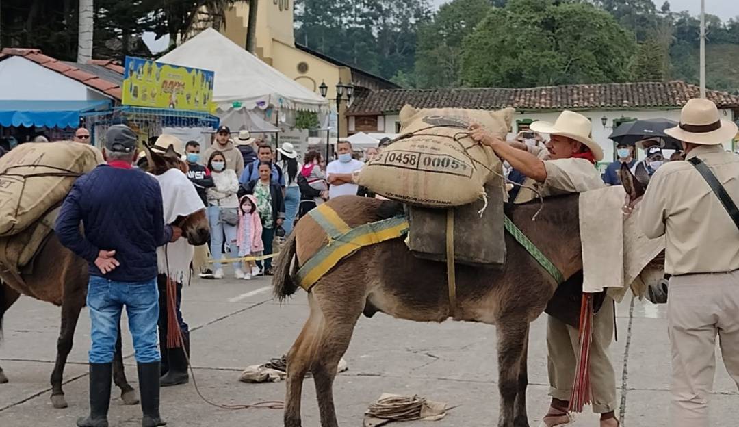 Eventos en el marco de las fiestas de Salento