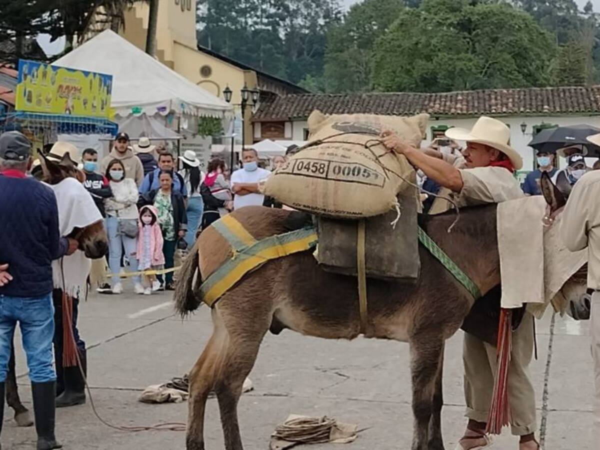 Viernes 7 de Enero, las principales noticias de Armenia y Quindío