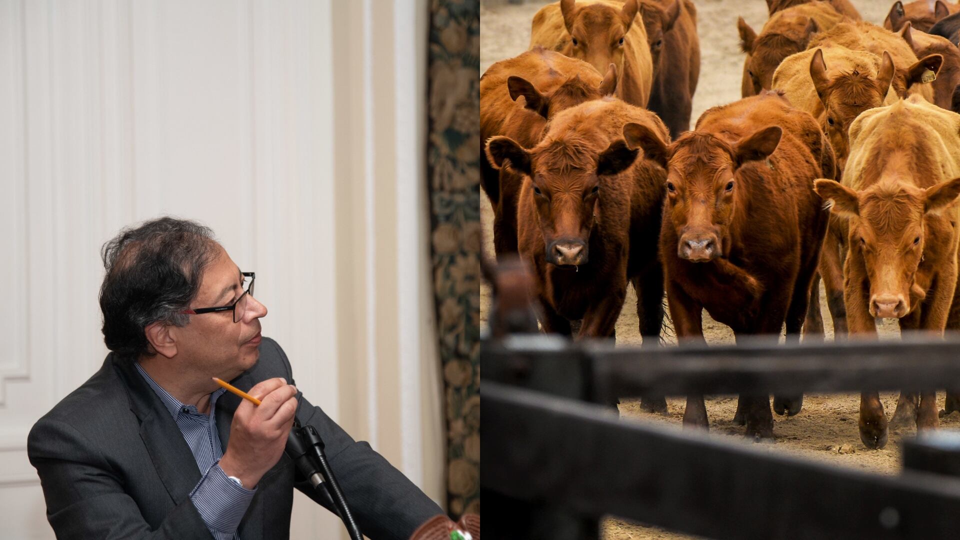 Gustavo Petro busca revivir los mataderos municipales - Colprensa / Getty Images