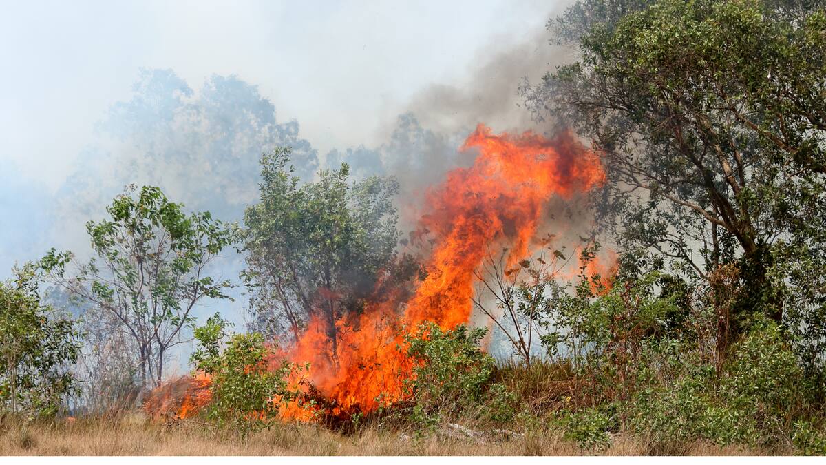 Incendios forestales han consumido 300 hectáreas en Santander