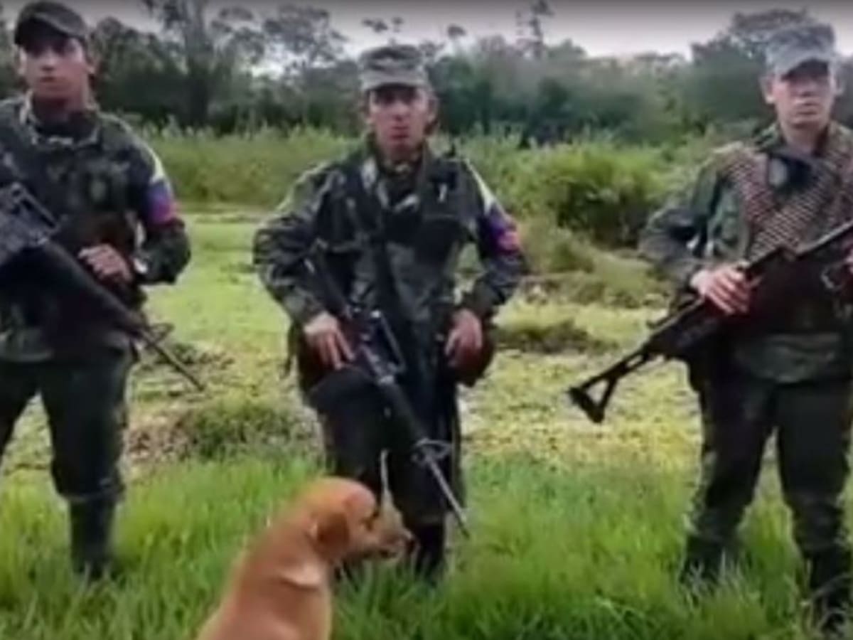 Verifican video de jefe disidente que declara la guerra al ELN en Arauca