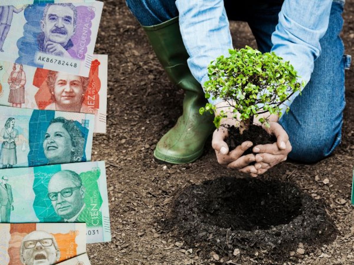 Cuáles son los compromisos ambientales de los bancos en Colombia