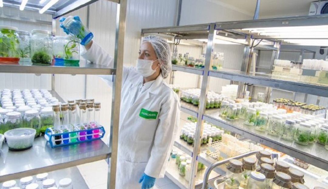 Laboratorio en Tibaitatá