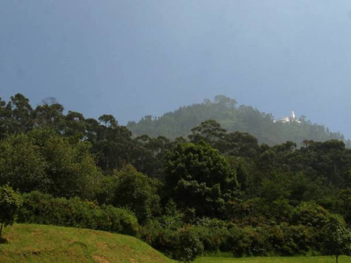 Personería de Bogotá alerta sobre urbanizadores piratas en el sector de Monserrate