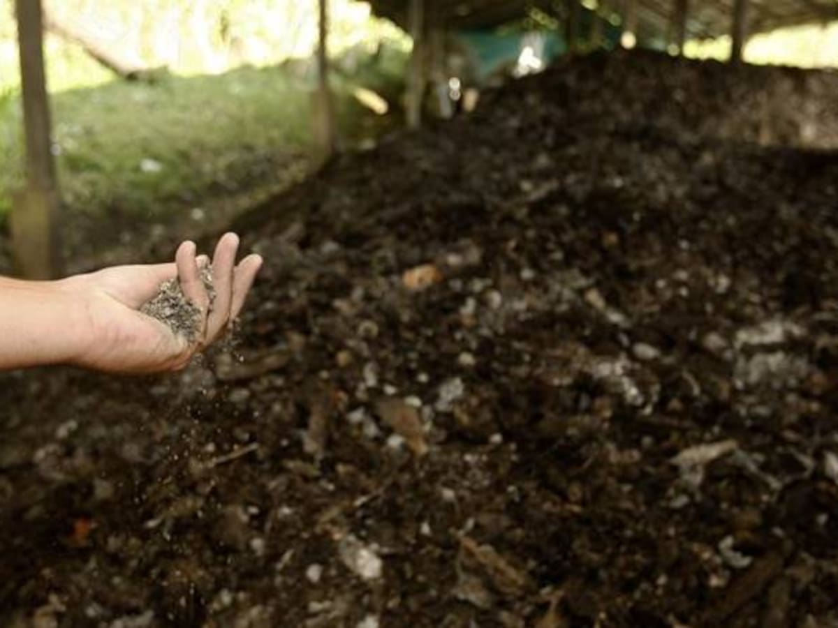 Colombia ratificará el compromiso de reducir en un 20 por ciento sus emisiones de gases efecto invernadero