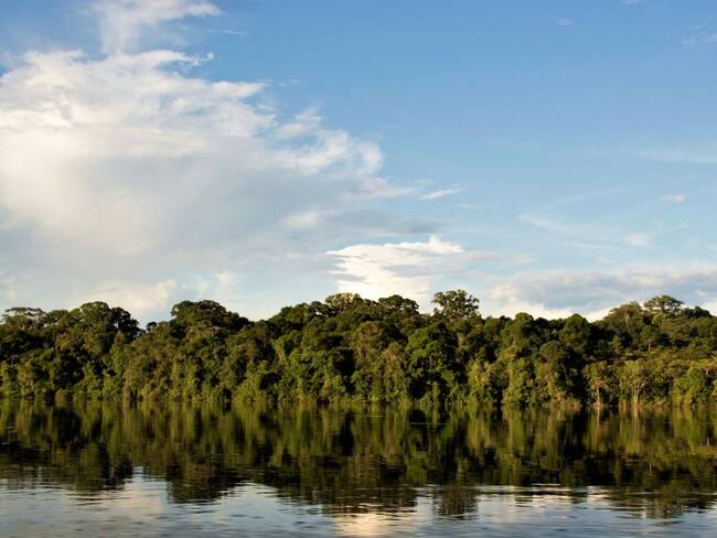 ‘Saving The Amazon’ e indígenas del Vaupés unidos para sembrar árboles