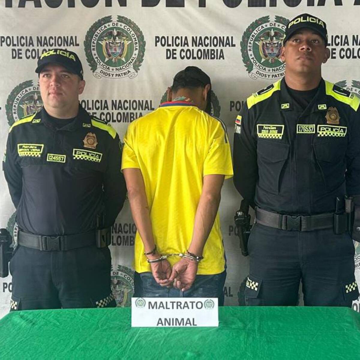 Capturan a presunto responsable de provocar la muerte de un perro en Armenia