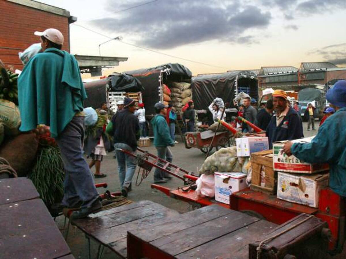 Marmosas fueron rescatadas en Corabastos