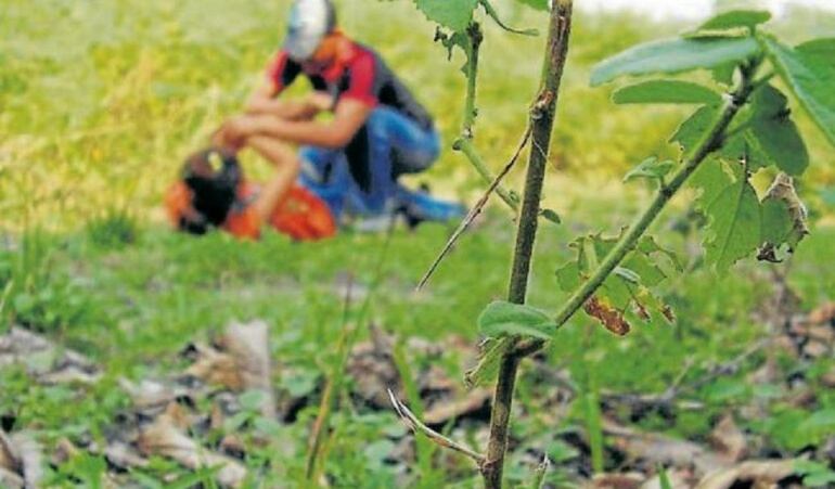 La menor de 9 años presentó indicios de agresión sexual, según Medicina Legal.