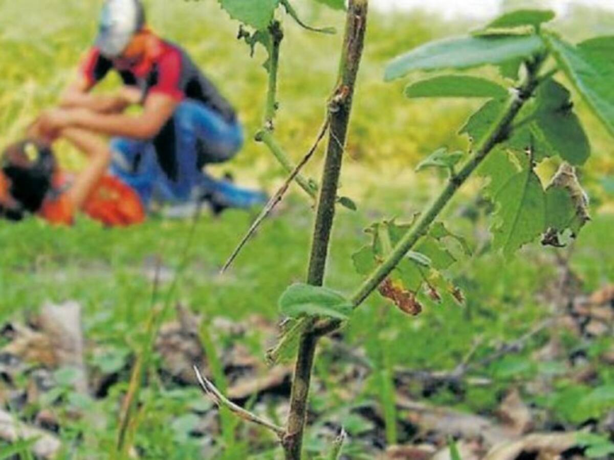 Grupo de investigadores trata de ubicar a responsable de muerte de niña en Villeta