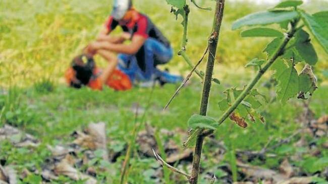 La menor de 9 años presentó indicios de agresión sexual, según Medicina Legal.