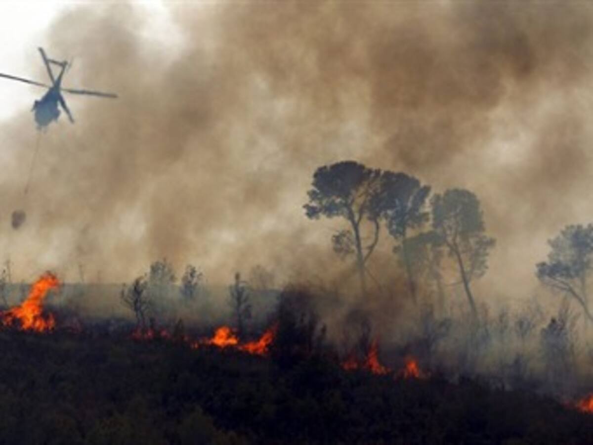 Incendios devastan más de 56 mil hectáreas en el oriente de España