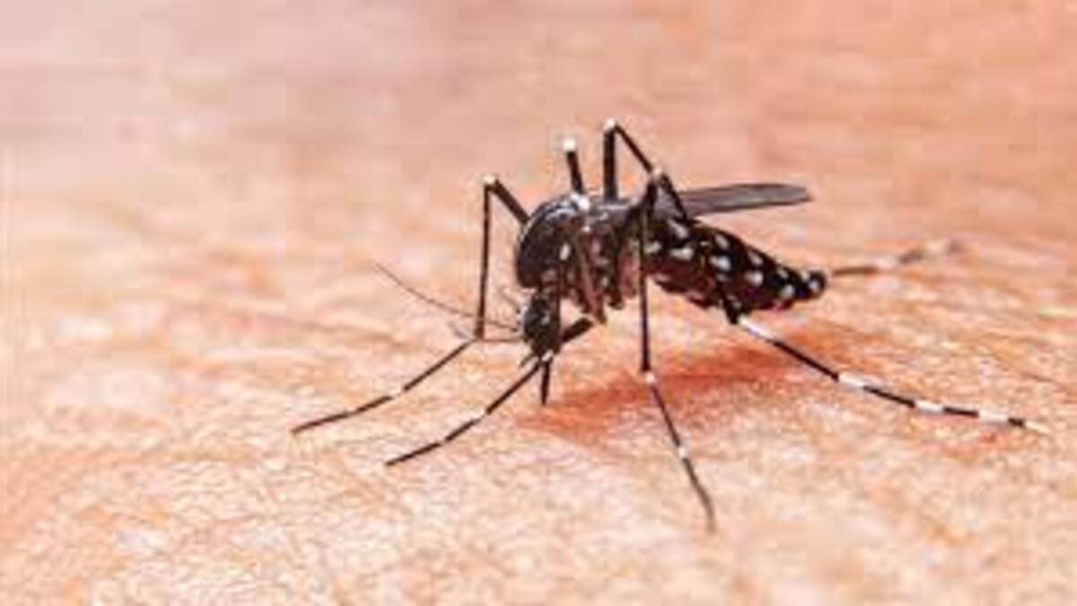 Confirman tres muertes por dengue en el Tolima