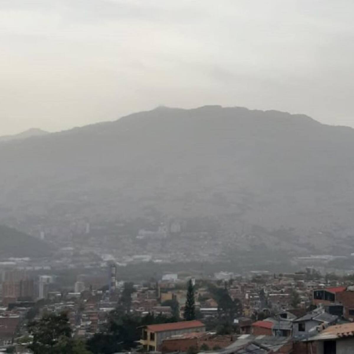 Durante el 2021 aumentó el desplazamiento intraurbano en Medellín