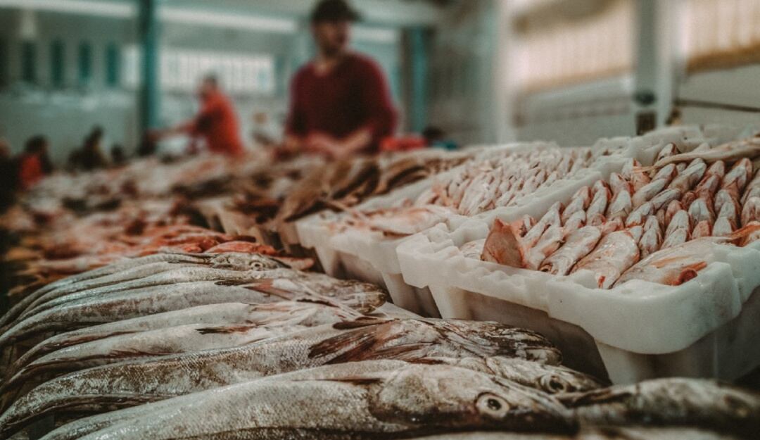 Demanda en el consumo del pescado