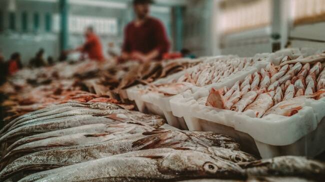 Demanda en el consumo del pescado