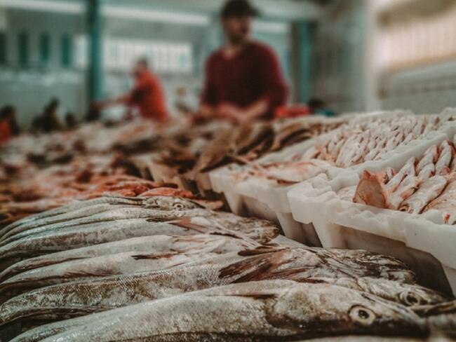 Demanda en el consumo del pescado