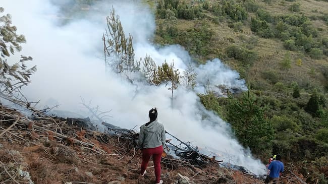 Bomberos y Ejército lograron controlar la emergencia.