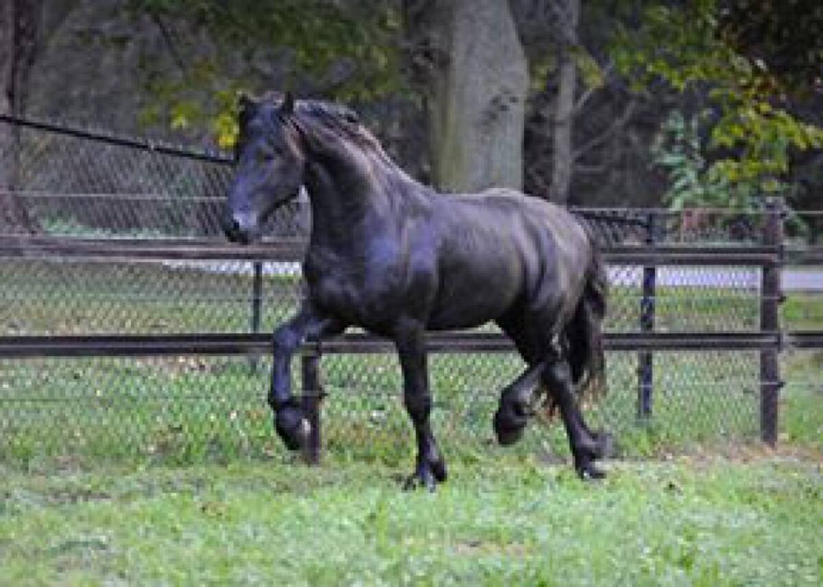 Actualmente cuanta con cerca de 13.000 seguidores