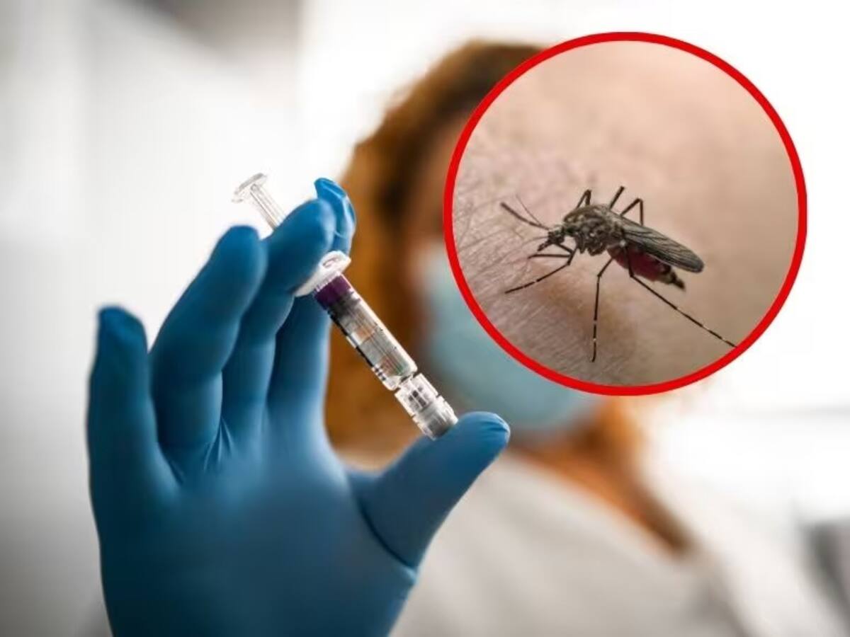 En el Quindío no hay casos confirmados de fiebre amarilla, insisten en el llamado a la vacunación