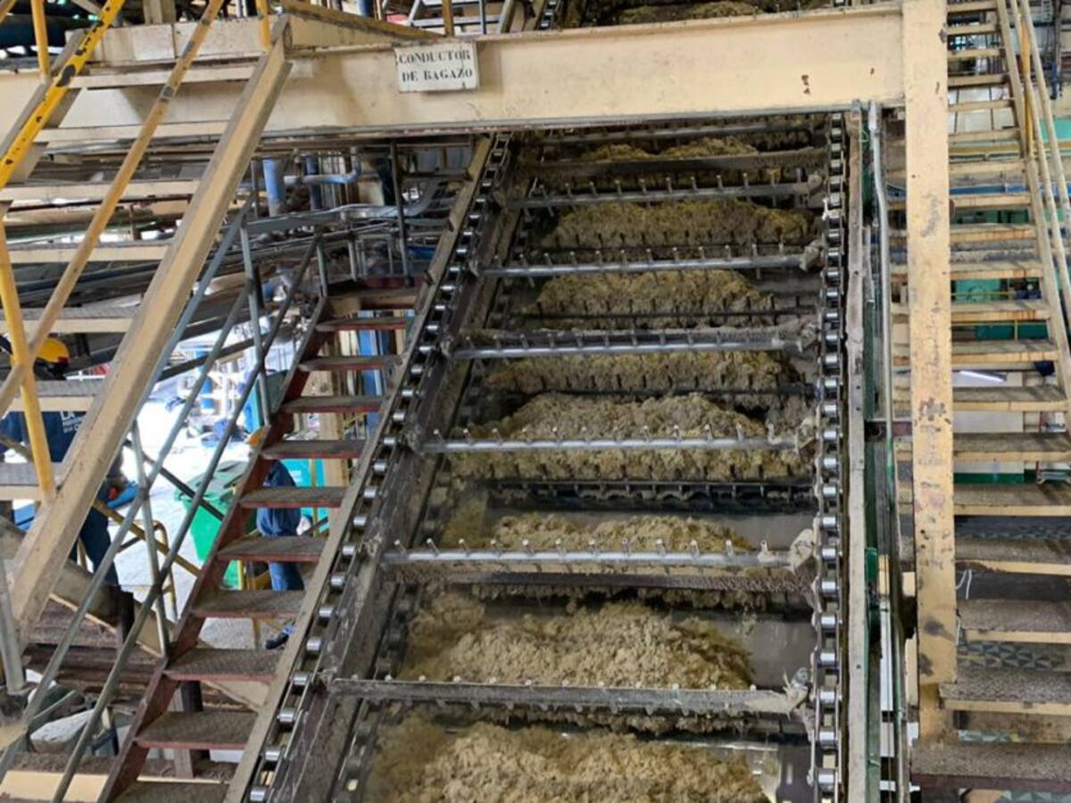 Asocaña: el consumo de azúcar no es malo, ha sido satanizado