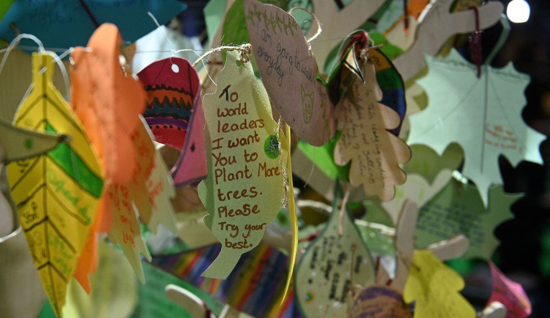 Manifestaciones a favor de los bosques