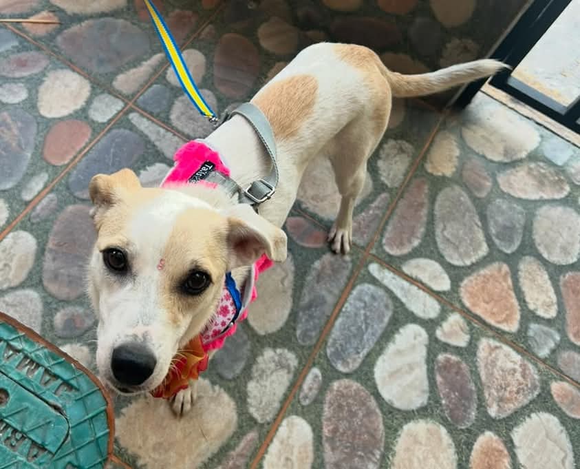 Foto Luisa Hernández.