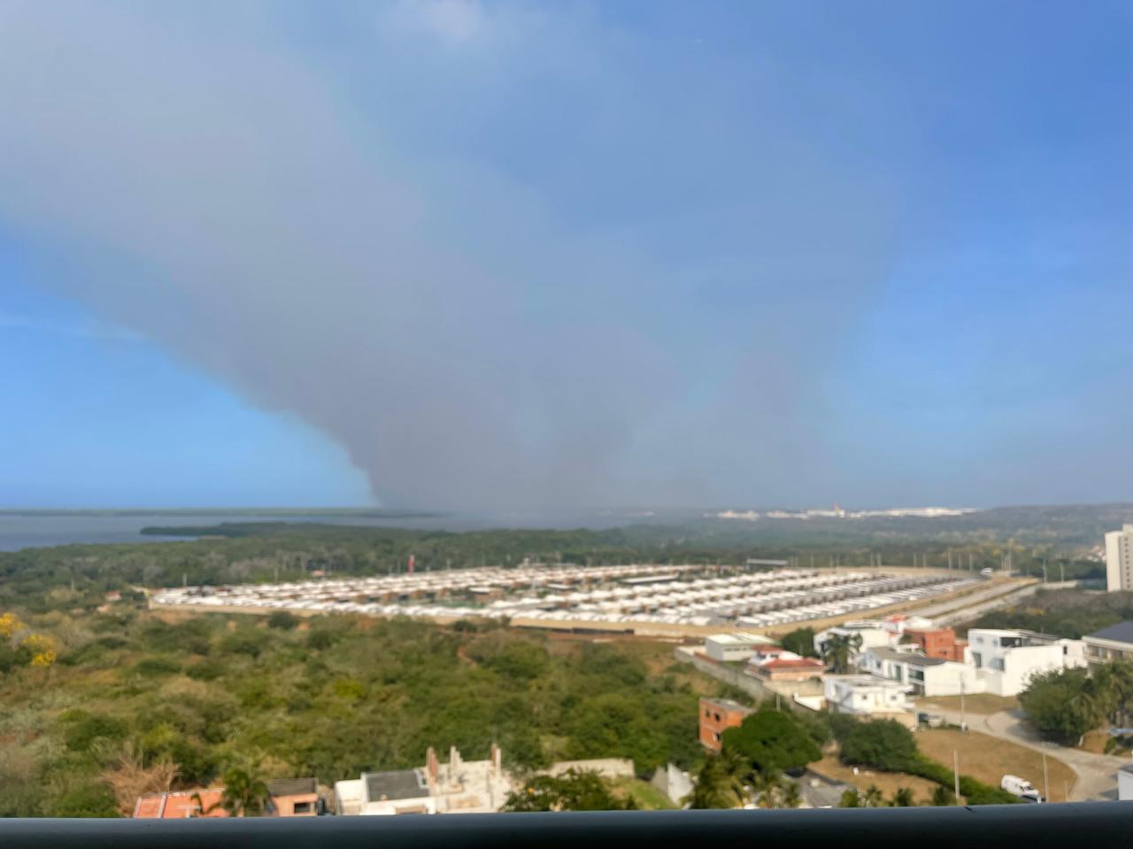Panorámica del incendio en el parque Isla Salamanca. Cortesía: Alberto Cianci.