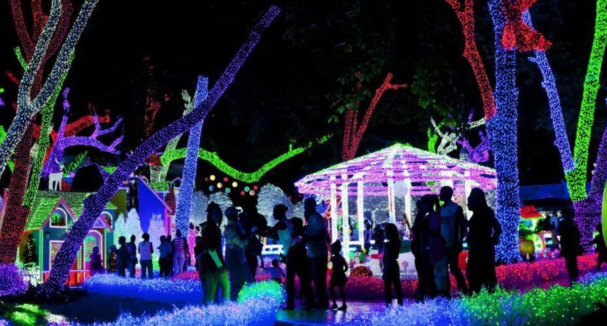 Árboles humanos, en los ríos y las ciudades más emblemáticas del mundo inundadas de luces y de la magia de la navidad. / República Dominicana.