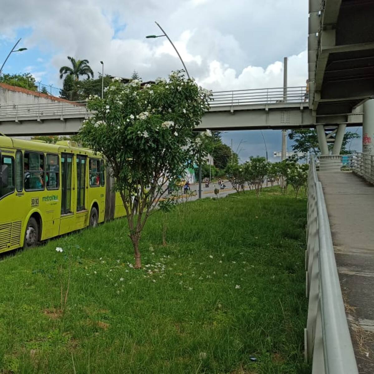 ¡Pilas con su bolsillo! En el 2023 el pasaje de bus y metrolínea será de $2.800