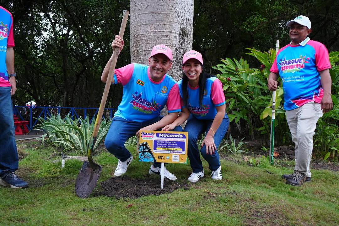 Alcaldía de Cartagena