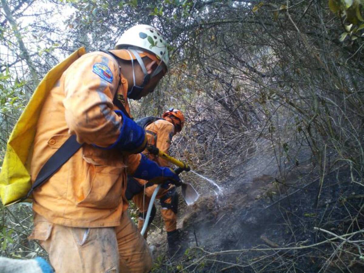 Incendio forestal destruyó 30 hectáreas de vegetación nativa en Tibasosa, Boyacá