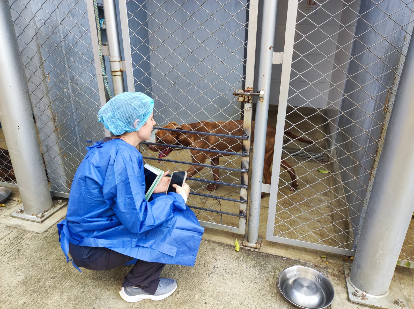 Foto: Unidad de Bienestar Animal 