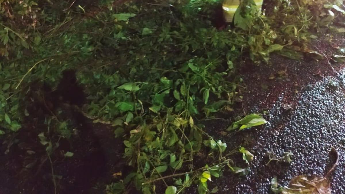 Las lluvias de las últimas horas causaron varias inundaciones en Manizales