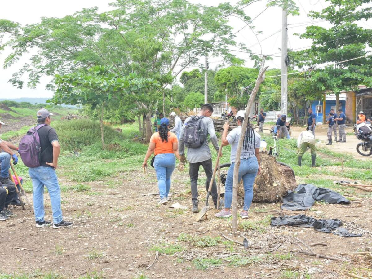 En El Pozón 491 árboles serán sembrados por cumpleaños de Cartagena