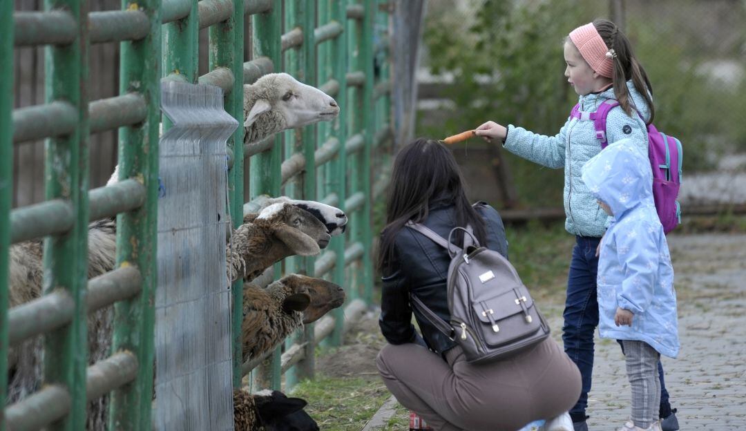 Animalistas piden ayuda para animales de zoológico de Ucrania