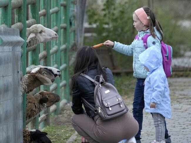 Animalistas piden ayuda para animales de zoológico de Ucrania