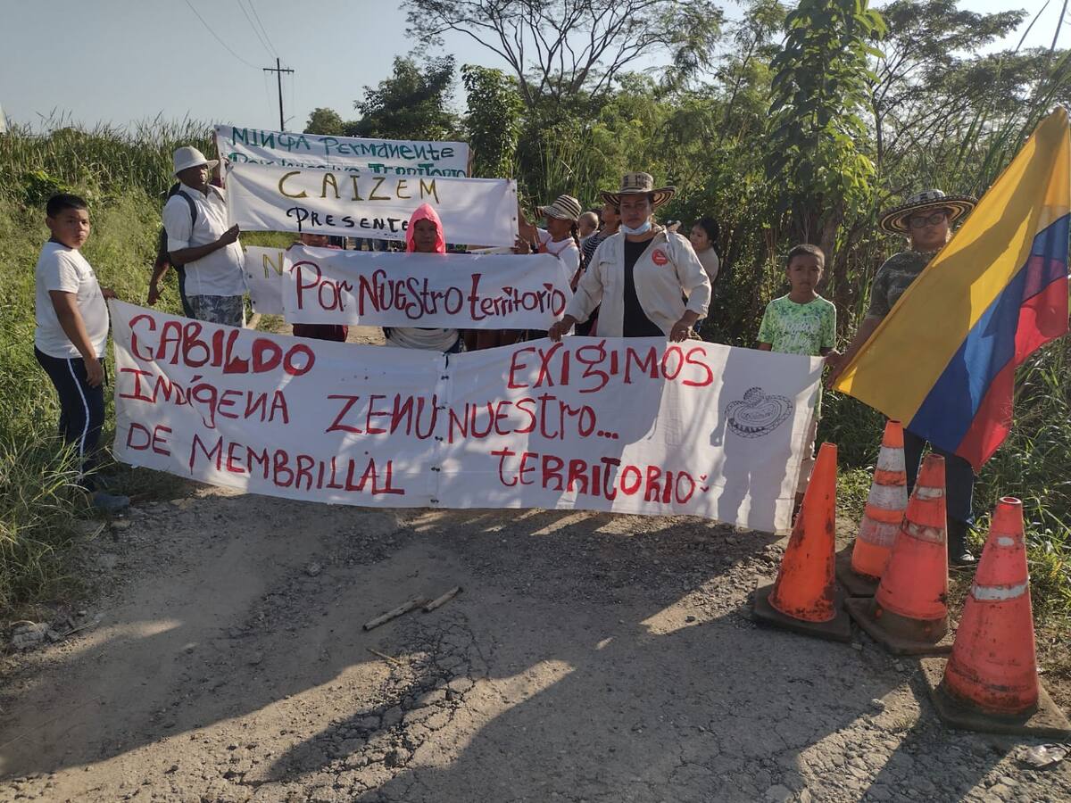El Distrito nos está bailando el indio: Cabildo Zenú en Cartagena
