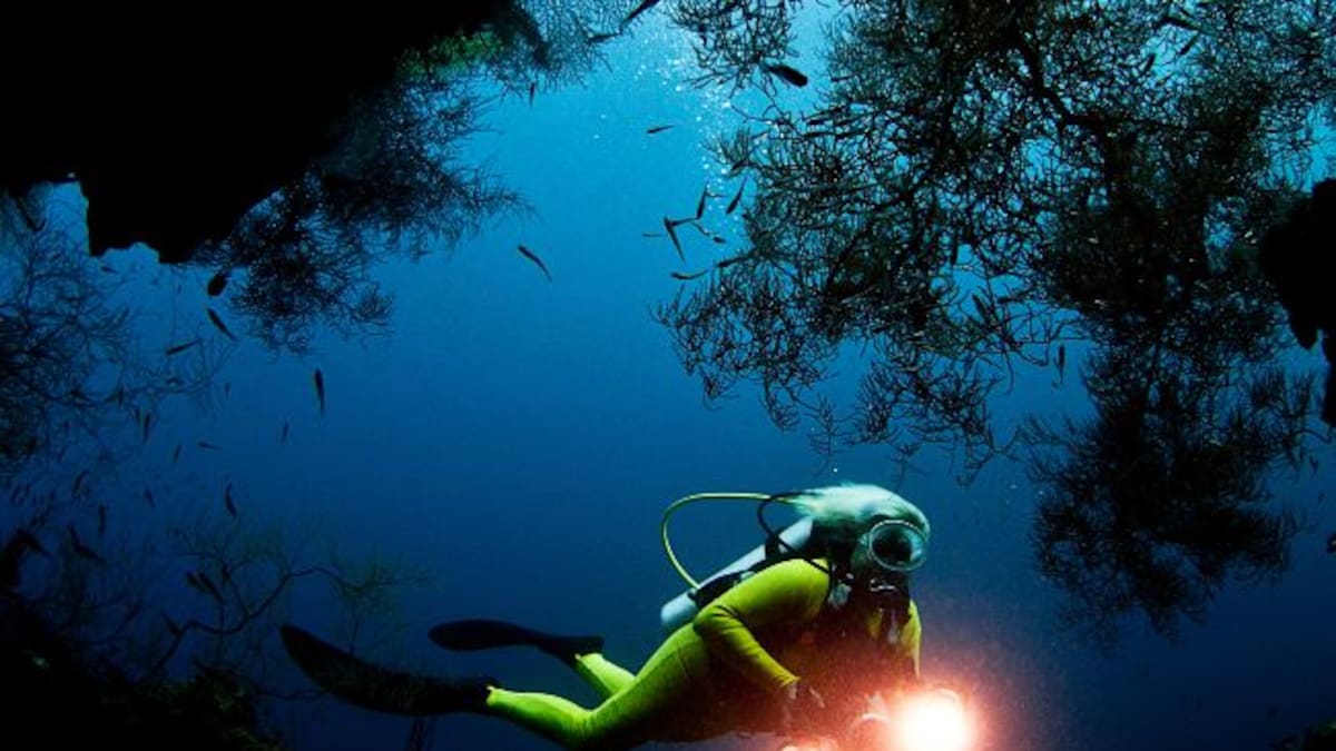 Solo hemos visto el 0,001% del océano: un estudio revela lo poco que conocemos nuestro planeta