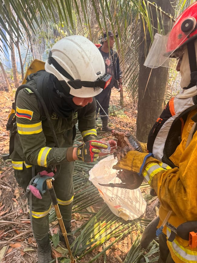 Más de 150 soldados y seis helicópteros mantienen operativo contra incendio en Villa de Leyva. Crédito: MinDefensa.