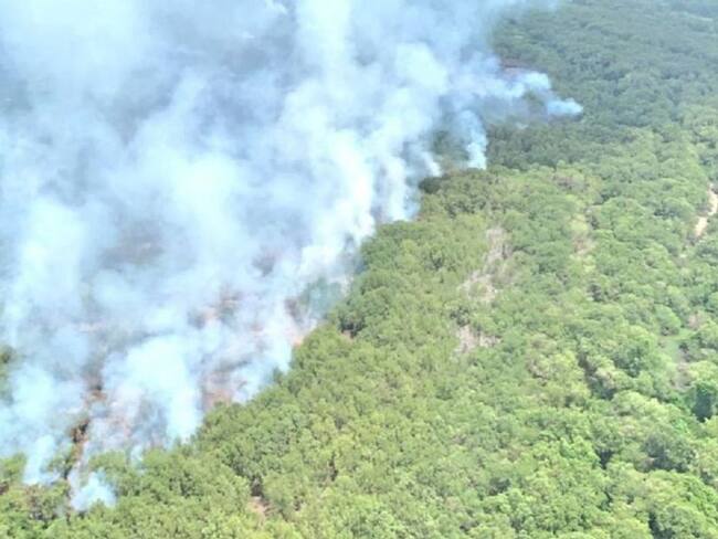 Inician patrullajes el Parque Isla Salamanca para evitar quemas