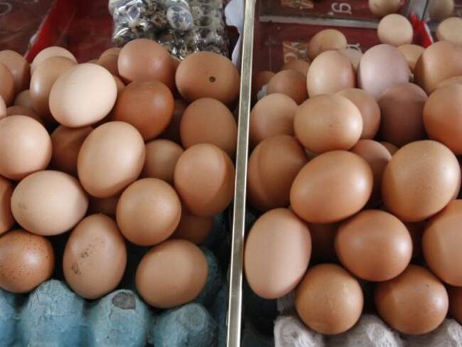 ¿Por qué Francia prohibirá venta de huevos de gallinas criadas en jaulas?