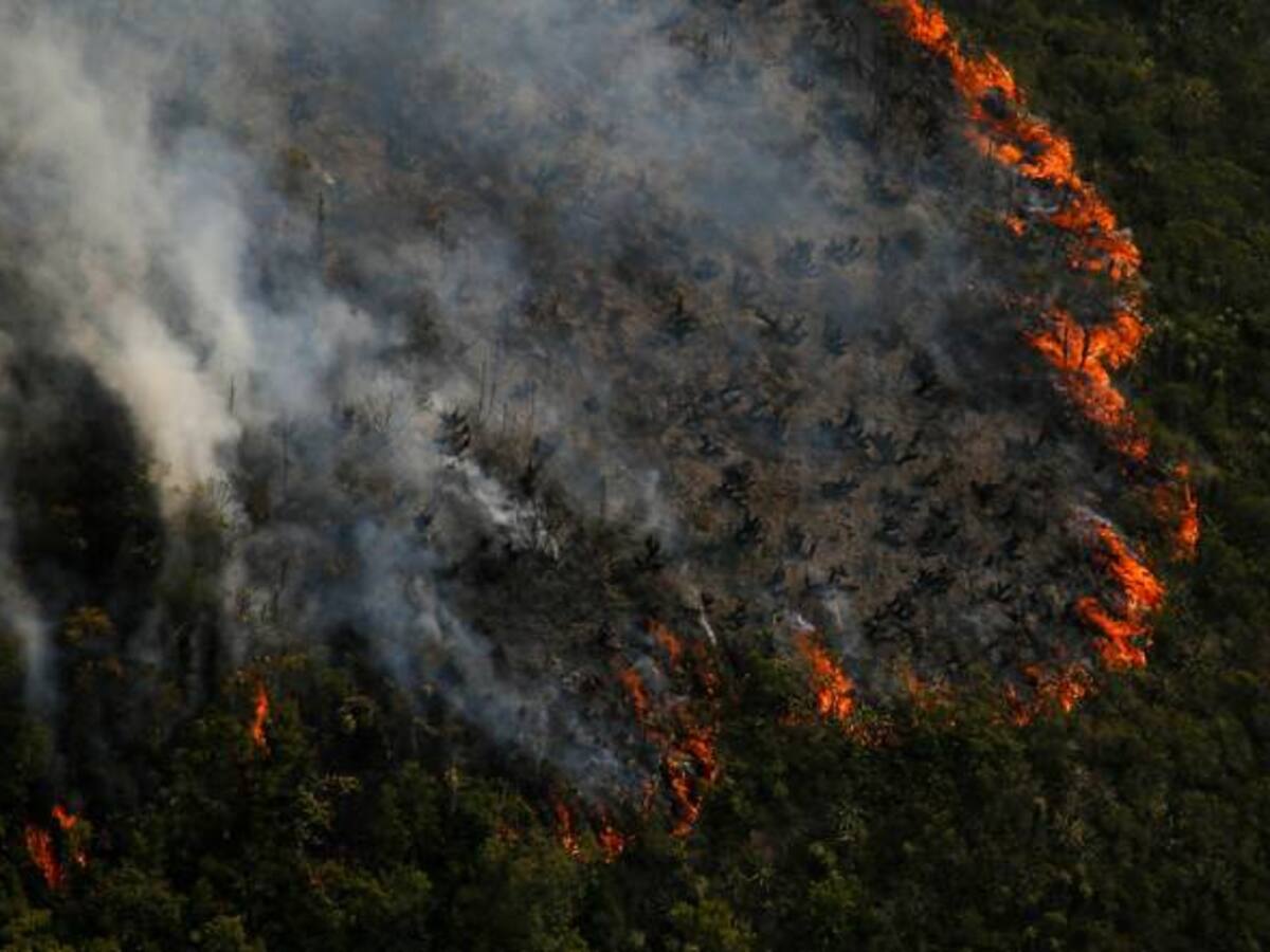 Casi el 100% de los incendios son propagados por el descuido de las personas